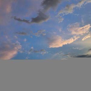 Meet your Posher, Maya